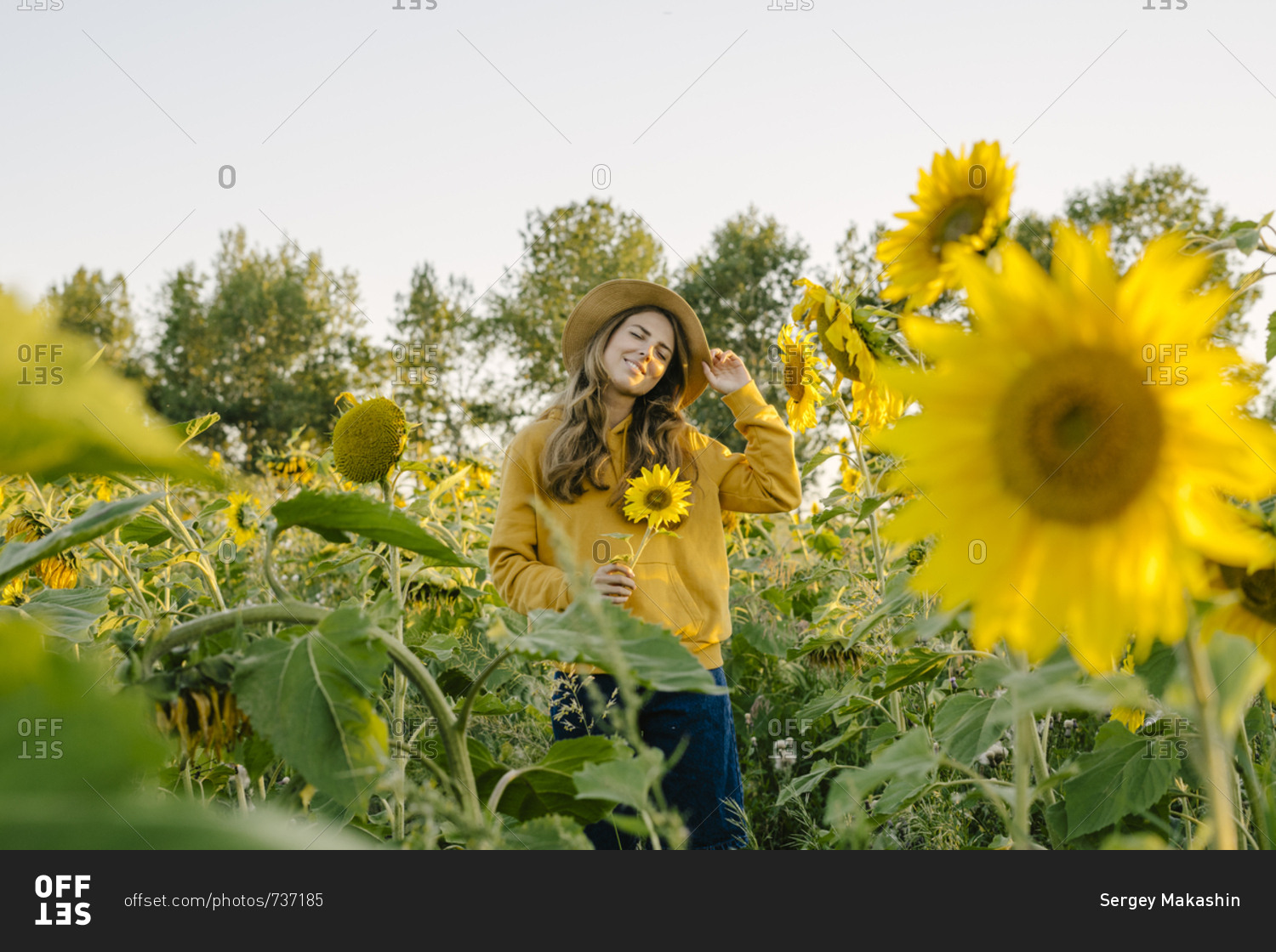Beautiful young woman holding a sunflower