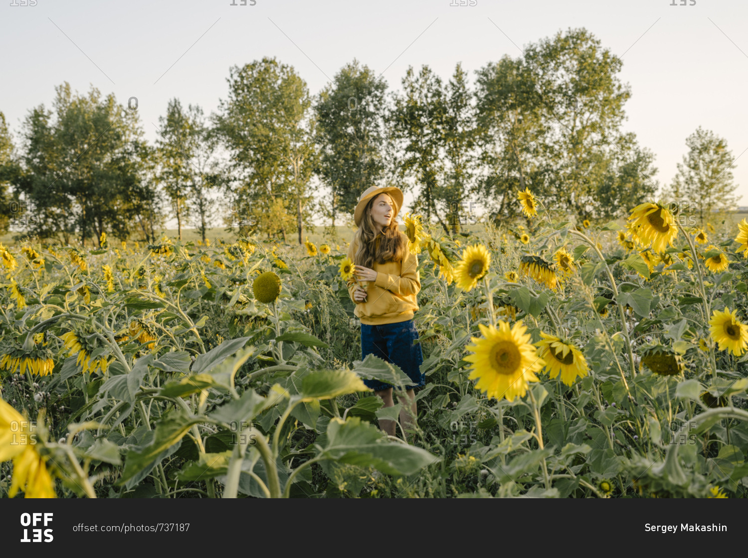 Beautiful young woman holding a sunflower