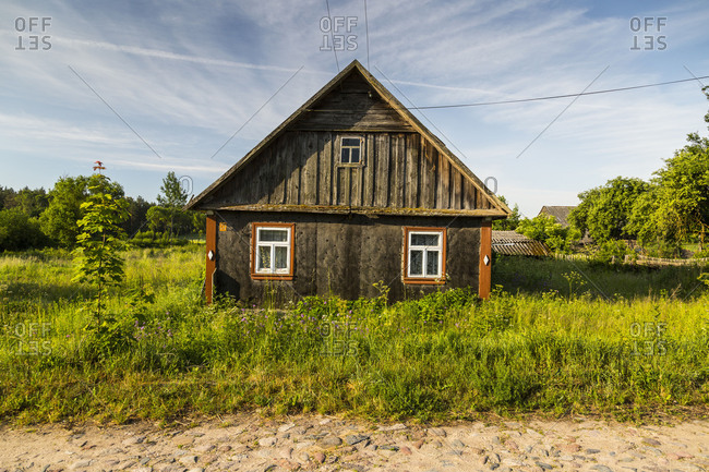 Europe, Poland, Podlaskie Voivodeship, Knyszynska Forest