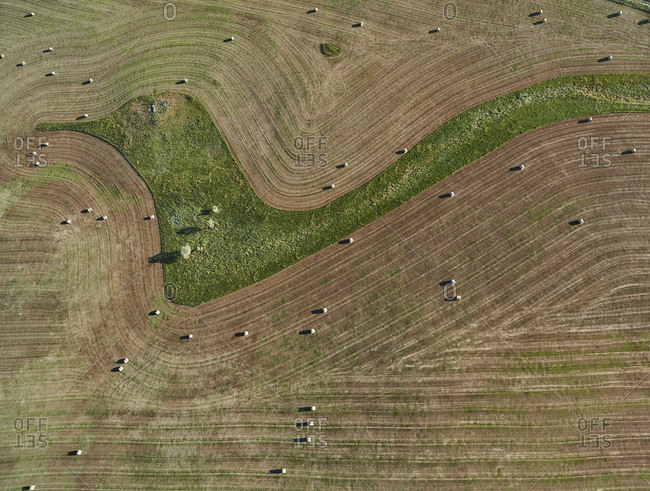 USA- Aerial of contour farming and hay bales in Montana