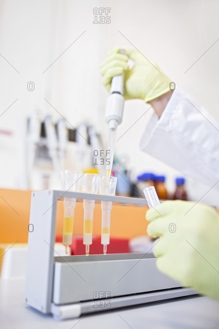 Technician pipetting samples into cartridges for solid phase extraction (SPE). SPE is used to separate biological compounds from a mixture for further analysis.