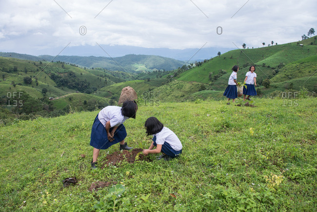 August 27, 2018: Asian Youth planting Trees to Renew the Forest. Chiang Mai, Thailand.