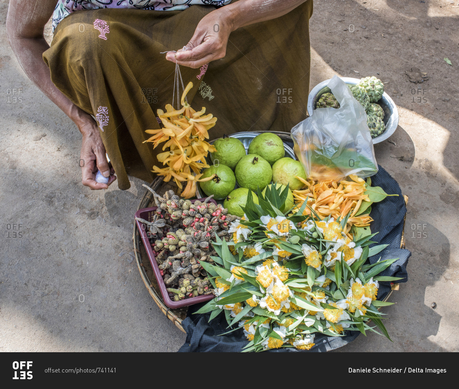 Myanmar, Mandalay area, flower selling on the village market to make donations to Buddha