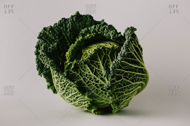 Ripe leafy green savoy�cabbage head on�gray background