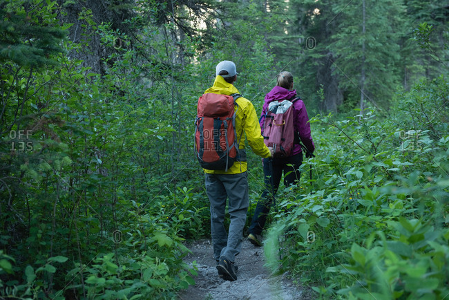 Rear view of couple hiking in the forest