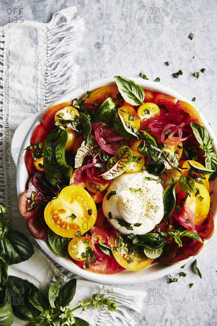 Brightly coloured salad of heirloom tomatoes in different colors, lightly picked red onion, herbs, greens, olive oil, burrata cheese.
