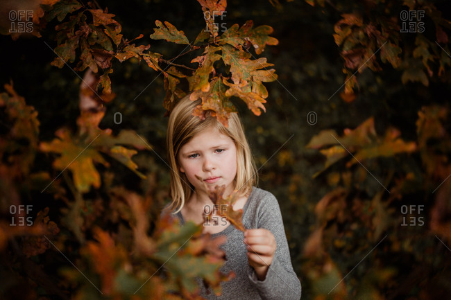 Little girl looking at fall leaves