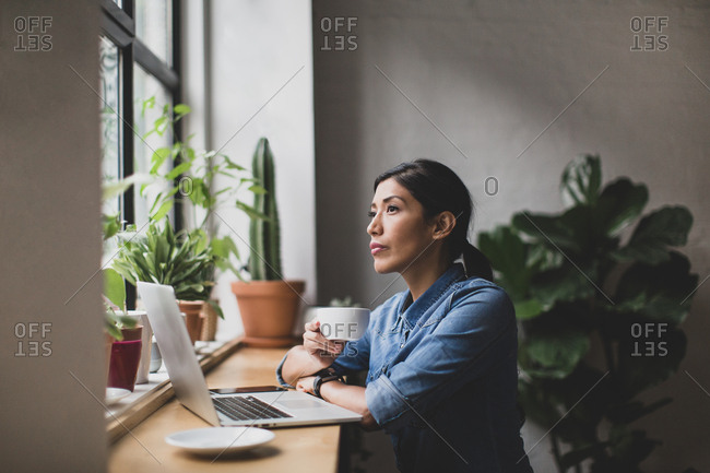 Freelance businesswoman working in a cafe