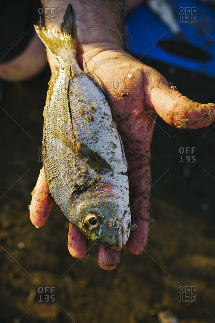 Man holding dirty fish