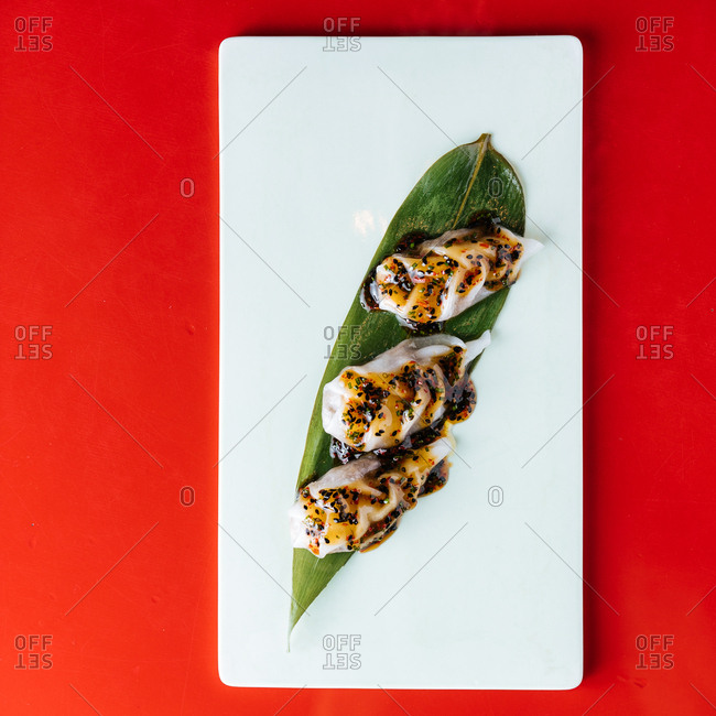 Gourmet appetizer on red background