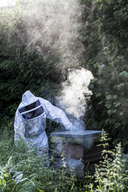 Beekeeper wearing protective suit at work, using smoker to calm bees.