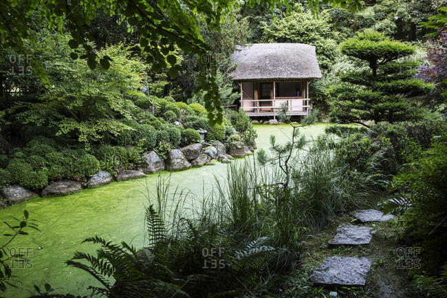 View of small thatched hut among trees in a Japanese Tea Garden with small path along a pond.