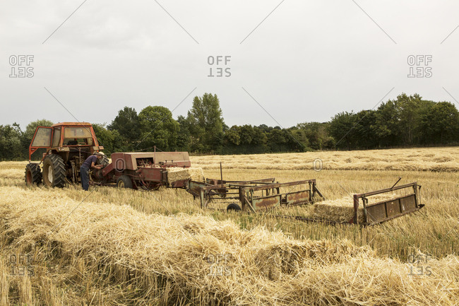 Tractor and straw baler in wheat field, farmer baling straw.