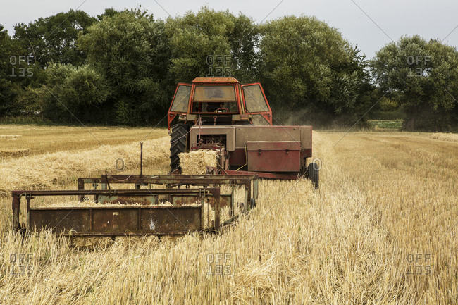 Tractor and straw baler in wheat field, farmer baling straw.