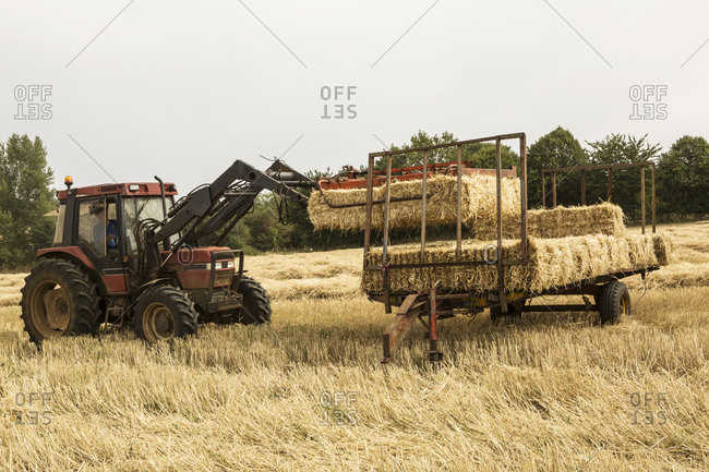 Tractor and straw baler in wheat field, farmer baling straw.