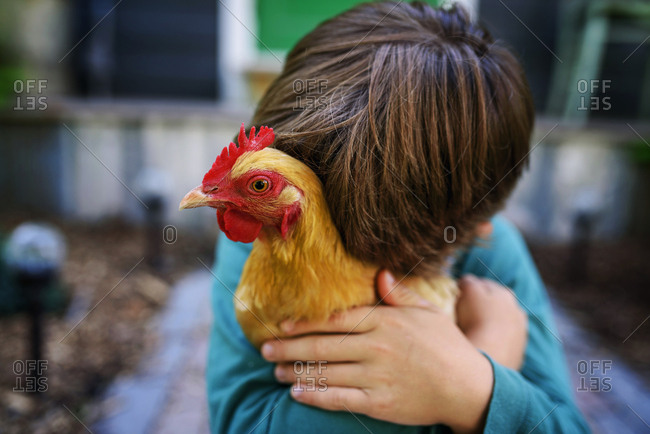 Young boy cuddling a chicken