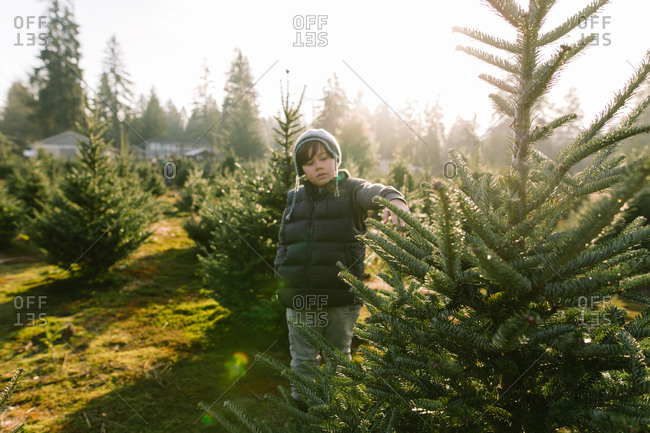 Artist Maria Angerilli Stock Photos Offset