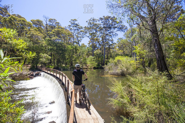 Rear view of man with mountain bike crossing bridge on Margaret River in The Pines Trails, Western Australia, Australia