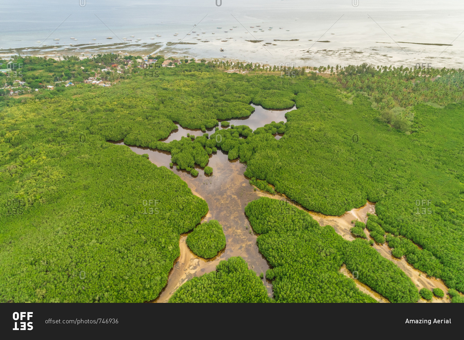 Aerial view of mangroves in Panglao, Philippines.