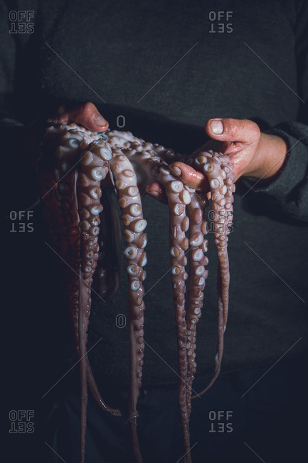 Man holds a raw octopus in his hands. Dark photo.