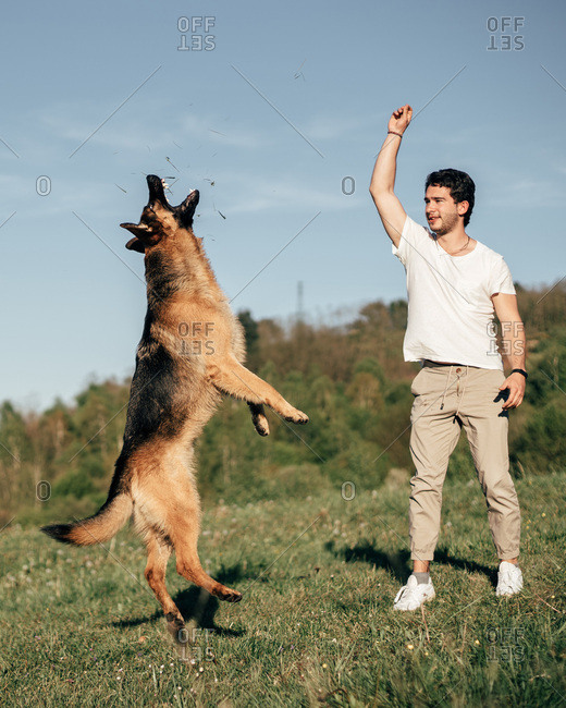 The german clearance shepherd man