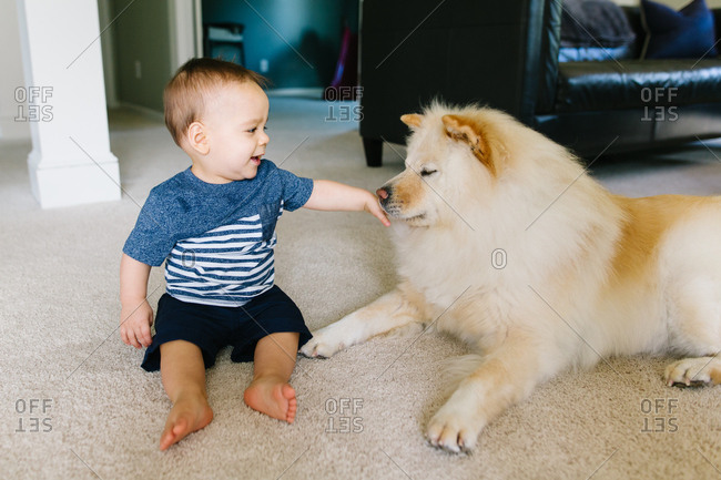Smiling baby petting dog