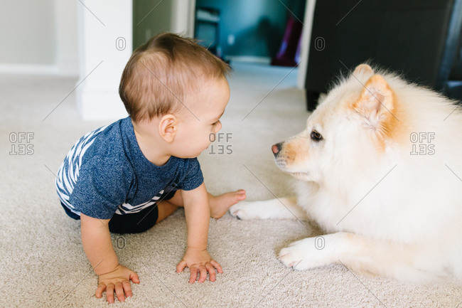 Baby and puppy dog looking at each other