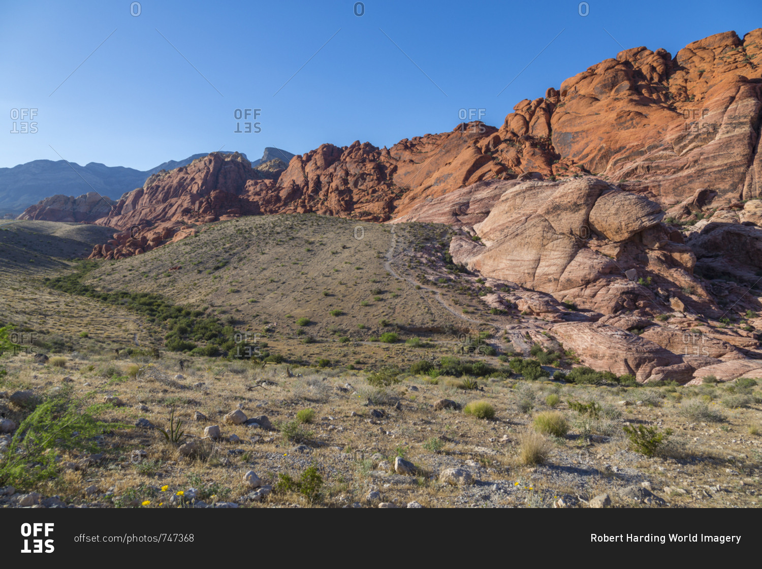 View of rock formations and flora in Red Rock Canyon National Recreation Area, Las Vegas, Nevada, United States of America, North America