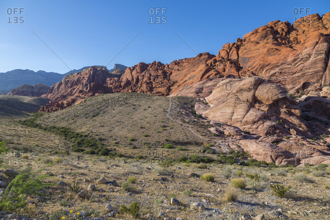 View of rock formations and flora in Red Rock Canyon National Recreation Area, Las Vegas, Nevada, United States of America, North America