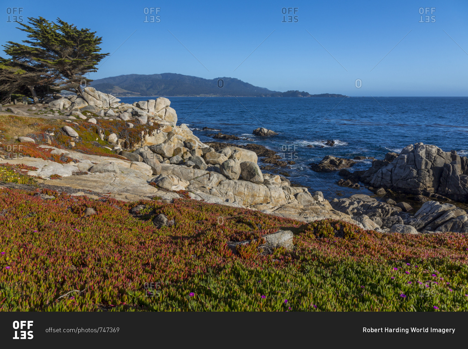 Carmel Bay View