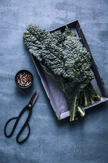 Overhead shot of kale leaves on a tray