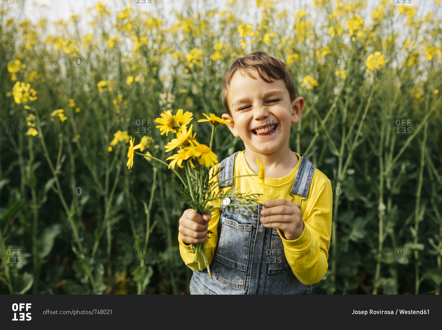 Portrait of little boy with picked yellow flowers in nature