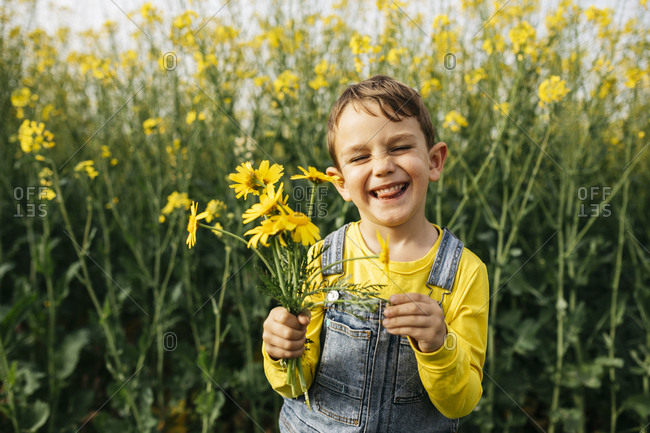 Portrait of little boy with picked yellow flowers in nature
