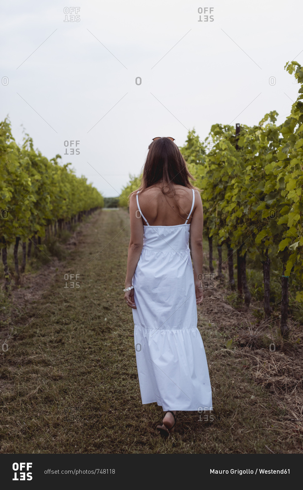 Woman wearing white summer dress- walking in vineyard- rear view