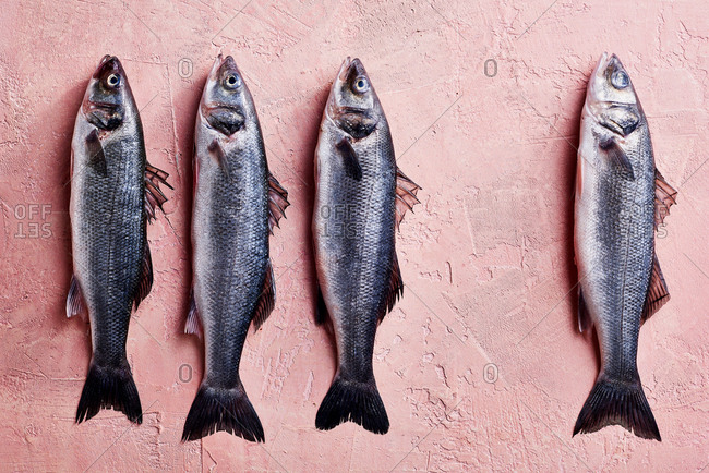 Four fish on a pink surface