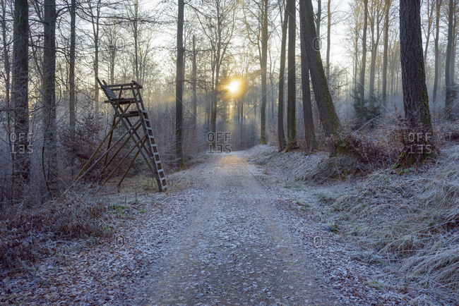 Forest path and hunting blind in winter with sun, Weibersbrunn, Spessart, Bavaria, Germany