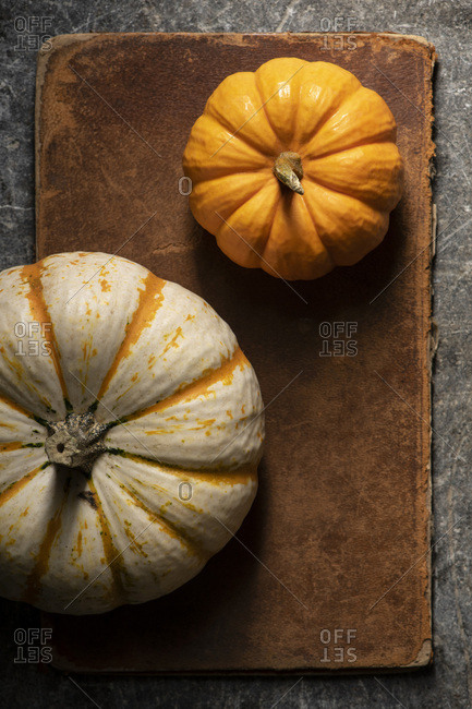 2 Mini pumpkins on a worn leather and stone surface. Moody natural light.