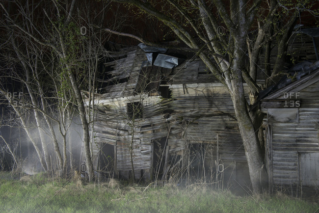 Broken wooden building by bare trees in forest during foggy weather at night