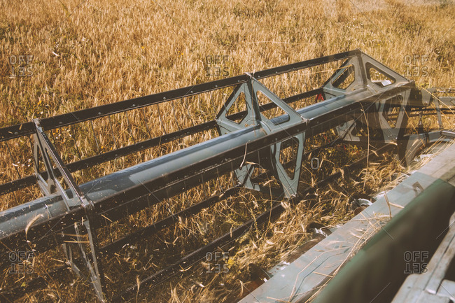 Combine harvesting fields