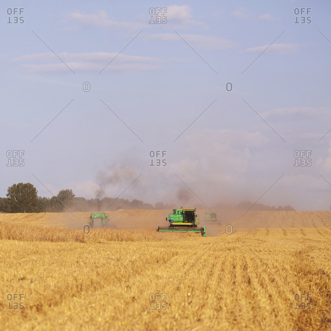 Tractors harvesting wheat fields