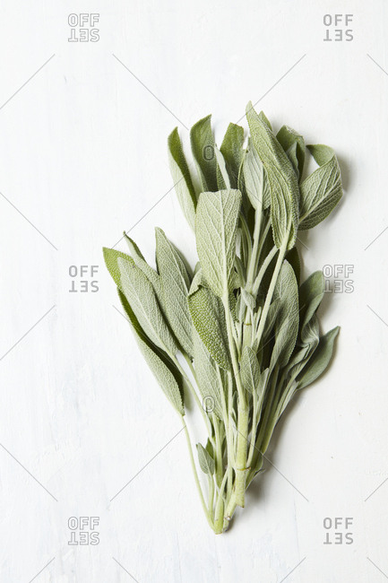 Bunch of sage leaves - Offset