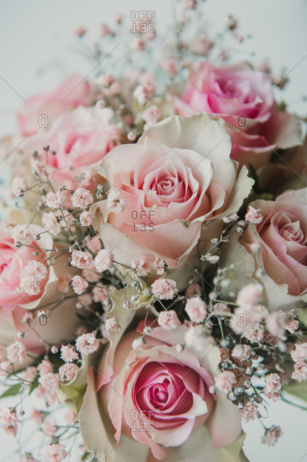 Close-up from above view of bunch of beautiful light pink roses