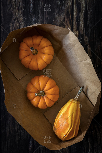 Halloween decoration background on dark background. Pumpkins. Flat lay. Copy space