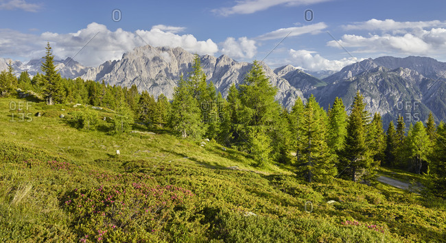View of the Hochstein to the Lienzer Dolomiten, Osttirol, Tyrol, Austria