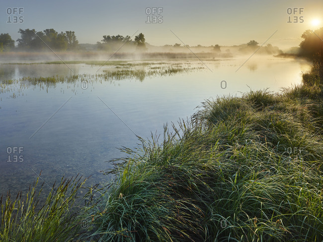 Danube meadows, Lower Austria, Austria