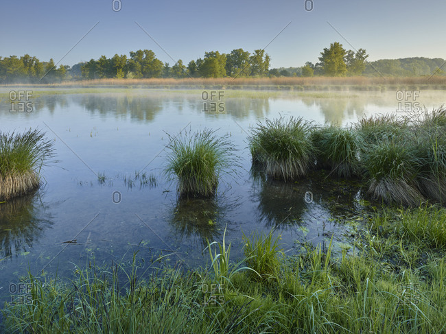 Danube meadows, Lower Austria, Austria
