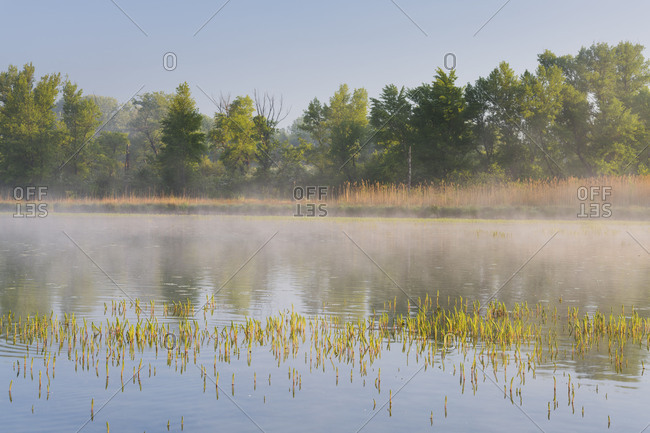 Danube meadows, Lower Austria, Austria