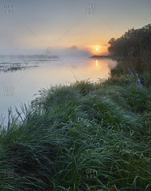 Danube meadows, Lower Austria, Austria