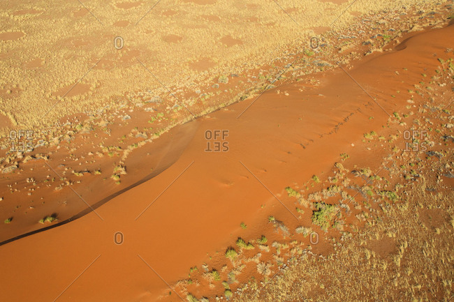 Aerial view of the typical red sand surrounded by plants in the dry landscape of Namib Desert Namibia Southern Africa