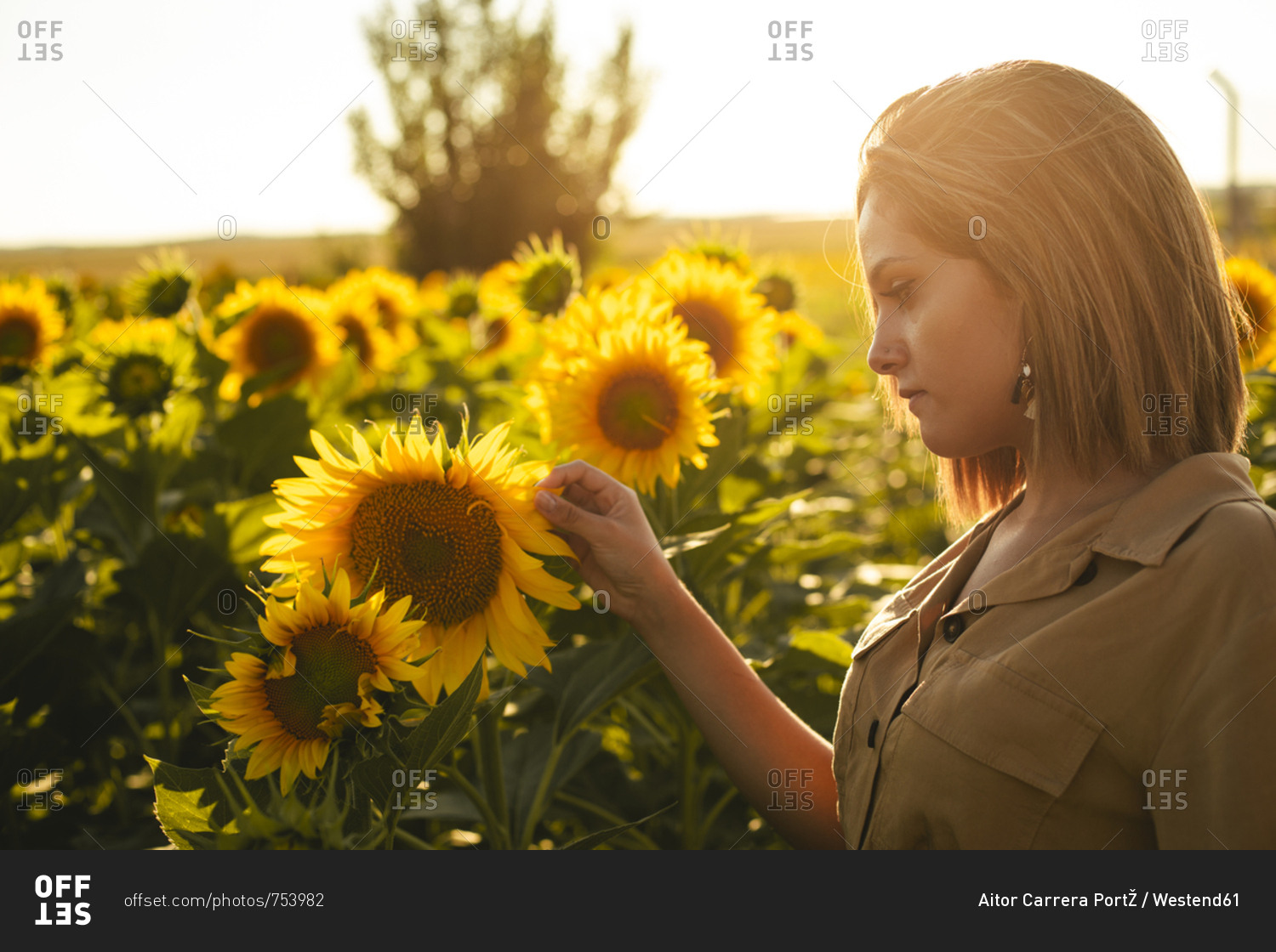 Portrait of a young woman in a sunflower field